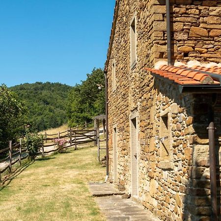 Agriturismo Con Piscina In Toscana, Tribbiano Arezzo Dış mekan fotoğraf