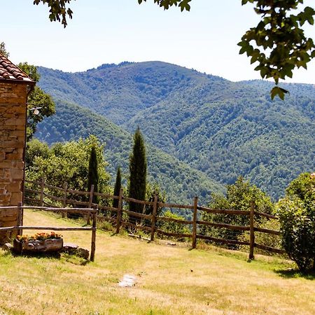 Agriturismo Con Piscina In Toscana, Tribbiano Arezzo Dış mekan fotoğraf
