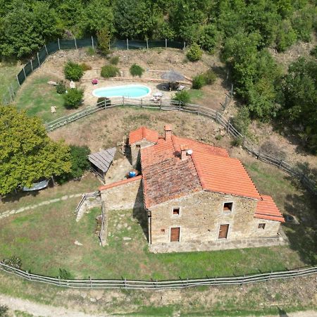 Agriturismo Con Piscina In Toscana, Tribbiano Arezzo Dış mekan fotoğraf