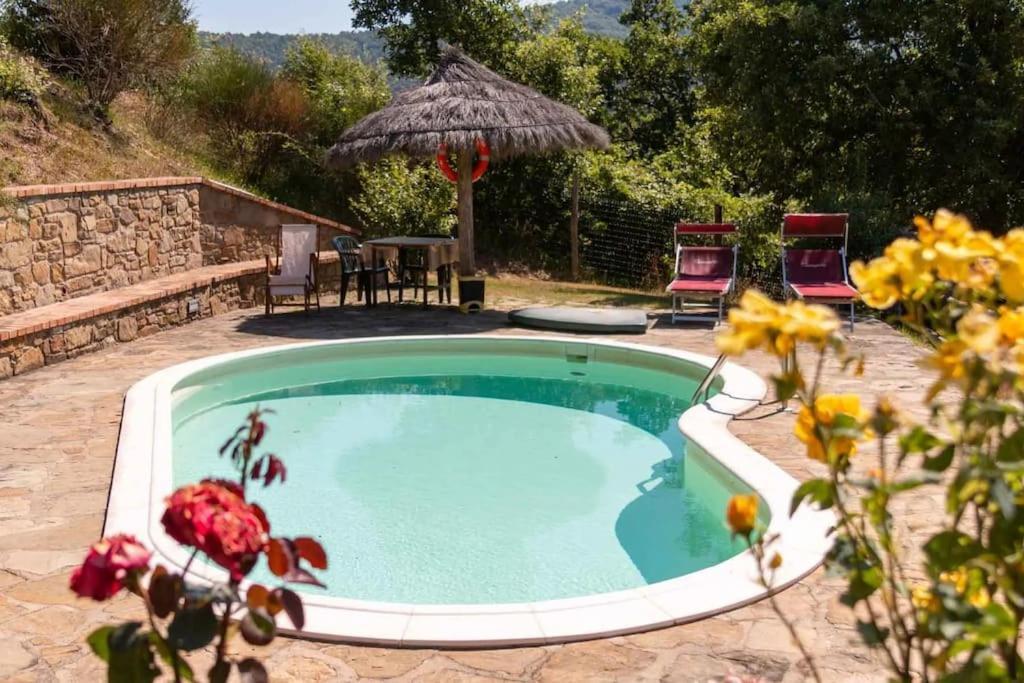 Agriturismo Con Piscina In Toscana, Tribbiano Arezzo Dış mekan fotoğraf