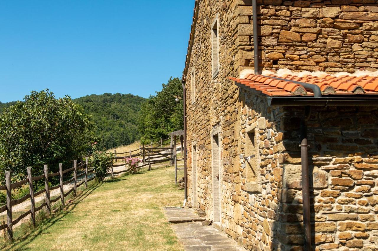 Agriturismo Con Piscina In Toscana, Tribbiano Arezzo Dış mekan fotoğraf