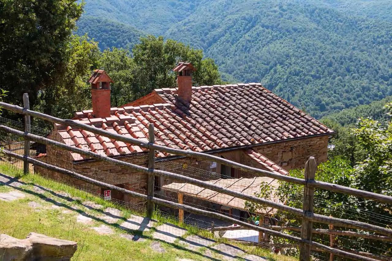 Agriturismo Con Piscina In Toscana, Tribbiano Arezzo Dış mekan fotoğraf