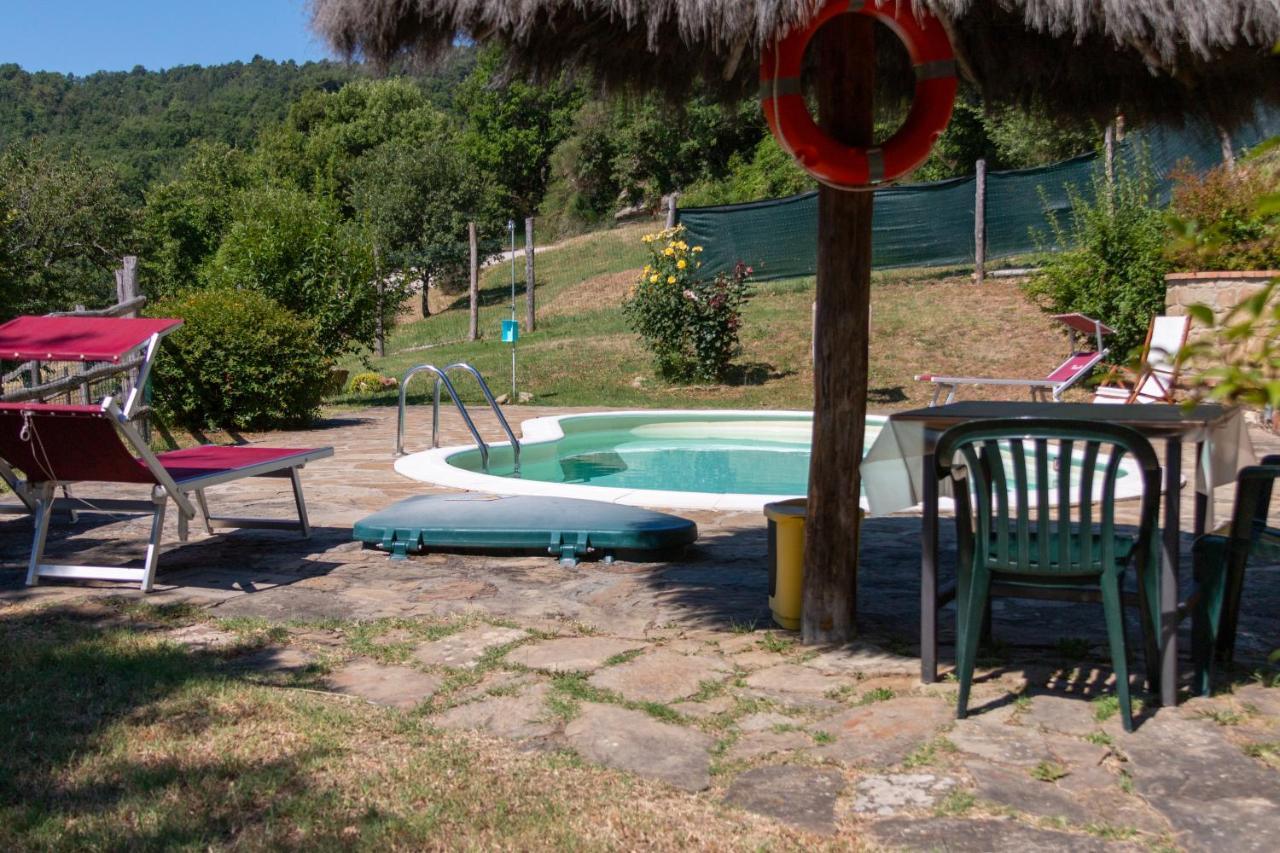 Agriturismo Con Piscina In Toscana, Tribbiano Arezzo Dış mekan fotoğraf