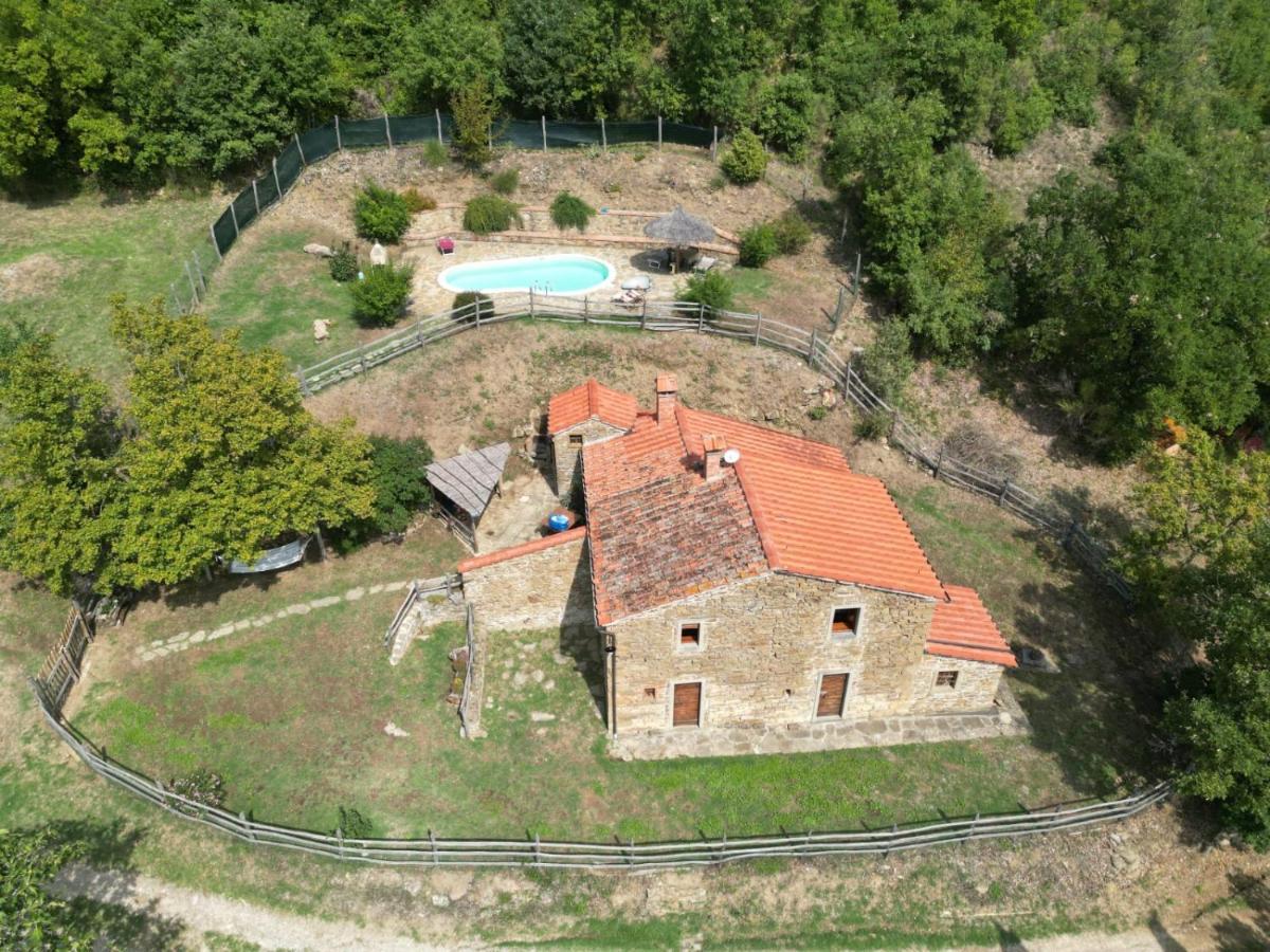 Agriturismo Con Piscina In Toscana, Tribbiano Arezzo Dış mekan fotoğraf